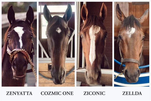 zenyatta-4pic-640